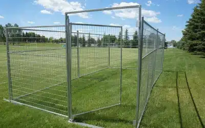 Designing Outdoor Dog Kennels for High-Energy Breeds