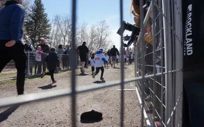How Many Crowd Control Barriers Do You Need for Your Calgary Event?